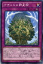 ナチュルの神星樹 ノーマル　NECH-JP076 永続罠　遊戯王カード その1