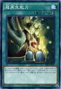 遊戯王 超再生能力 ノーマル SR02-JP027 速攻魔法