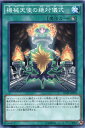 機械天使の絶対儀式 ノーマル RATE-JP055 儀式魔法 遊戯王カード