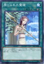 遊戯王 禁じられた聖槍 ノーマル ST17-JP026 速攻魔法