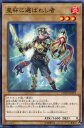 遊戯王 星杯に選ばれし者　ノーマル　COTD-JP019　炎属性　レベル3