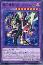 覇王眷竜スターヴ・ヴェノム レア COTD-JP038 闇属性 レベル8【遊戯王カード】 覇王眷竜スターヴ・ヴェノム レア COTD-JP038 闇属性 レベル8【遊戯王カード】