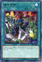 遊戯王 補充部隊 レア CIBR-JP065 永続魔法
