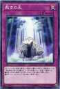 遊戯王 裁きの光 ノーマル SR05-JP032 通常罠