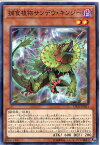 遊戯王カード 捕食植物サンデウ・キンジー　ノーマル DP22-JP051　闇属性　レベル2