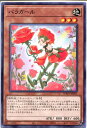 遊戯王 バラガール(レア) WPP1-JP055 地属性 レベル3