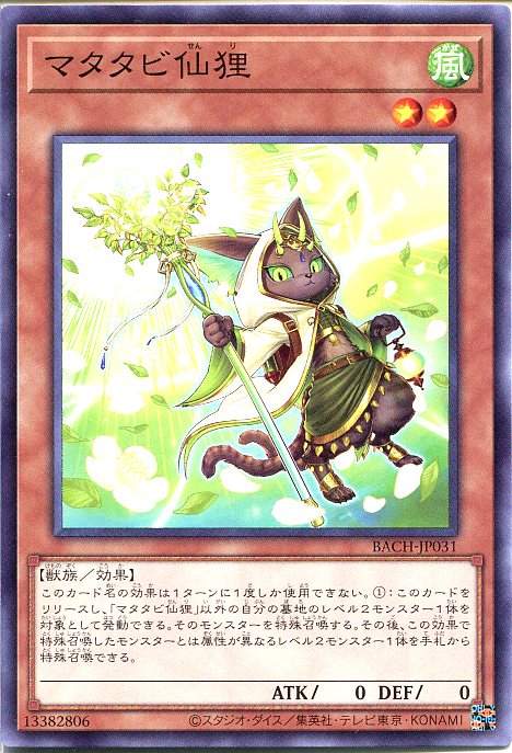 遊戯王　マタタビ仙狸（ノーマル）