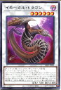 遊戯王 イモータル・ドラゴン（レア）DIFO-JP041　闇属性　レベル6