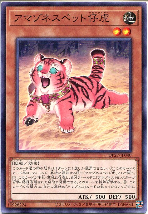 遊戯王 アマゾネスペット仔虎（ノ