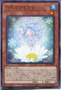 遊戯王 六花のひとひら(ノーマルパラレル)SUB1-JP054 水属性 レベル1