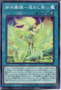 遊戯王 御巫舞踊-迷わし鳥(ノーマル)CYAC-JP062 装備魔法