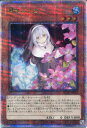 遊戯王 儚無みずき(クォーターセンチュリーシークレットレア イラスト違い RC03)QCAC-JP052(3)