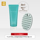【送料無料】デイリーディライト ヘッドクレンズ&スカルプブラシセット | クリームシャンプー シャンプーブラシ