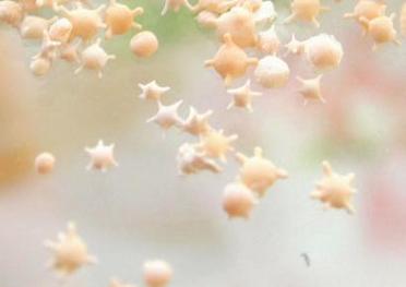 幸せを呼ぶ 星の砂 純100% 沖縄産 星砂 50g