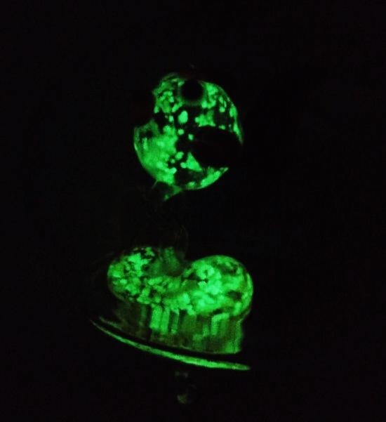 夏の風物詩 蓄光ガラス細工 ふうりん 蓄光ガラス 風鈴 金魚 キンギョ きんぎょ ハート 全長27cm 風鈴サイズ3.5mm×4.5mm