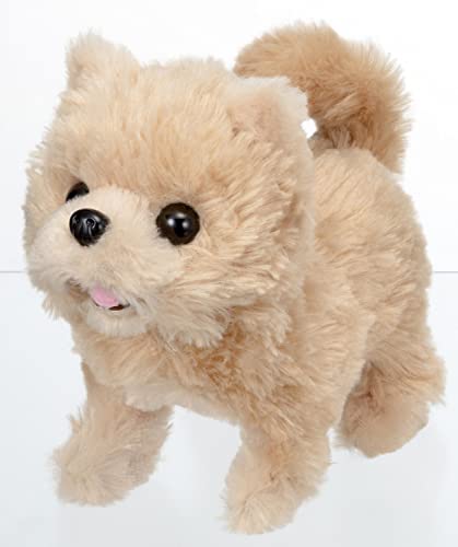 イワヤ(IWAYA) ピッコリーネ ポメラニアン 電池で動くぬいぐるみ 3324-1 送料無料