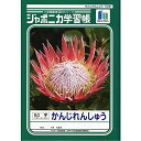 ショウワノート 学習帳 ジャポニカ 漢字練習 50字 十字補助線入り B5 5冊パック JL-48*5 送料無料