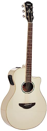 ޥ YAMAHA 쥢 APX600 VW ̵