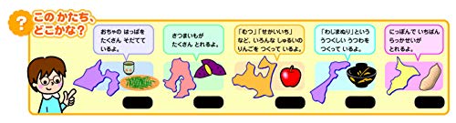 シンカテック ウォーターランド 手桶 DX (nK) グレー [キャンセル・変更・返品不可]