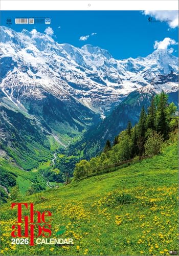 アルプス TD-713 2026年 カレンダー 壁掛け CL26-1028 送料無料