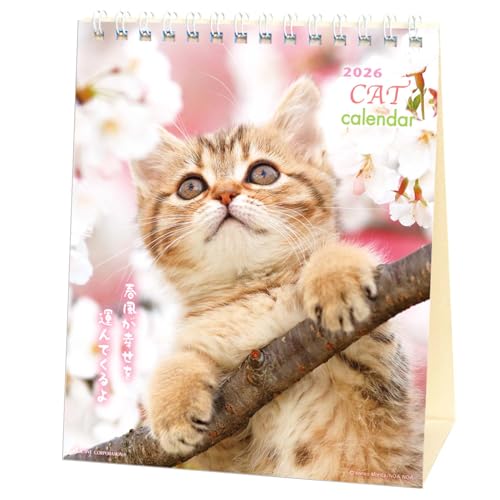 アクティブコーポレーション 2026 カレンダー 卓上 リトルキャット 26ACL-537 2026年 1月始まり 送料無料