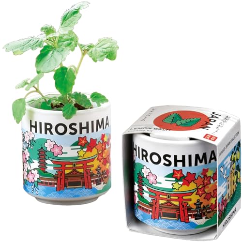 聖新陶芸 通年 家庭菜園 栽培キット レモンバーム ハーブ 香草 鉢の径 約4cm ミニ 簡単 ゆったり育てる 栽培セット (自由研究/ 送料無料