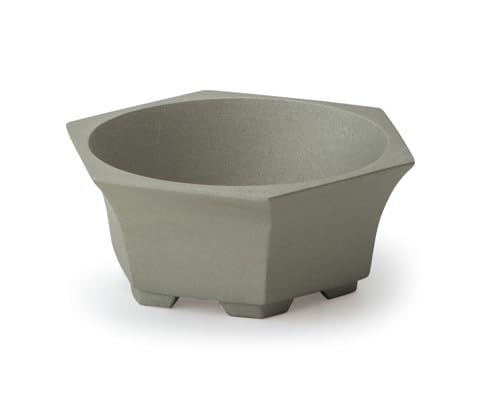 �ݥå����ӥ� ����ȭ �֥롼���ݥå� ��W12��D10.5��H5cm ������� 64100 ����̵��