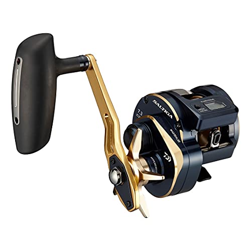 ダイワ(DAIWA) 21 ソルティガIC 300H-SJ 送料無料