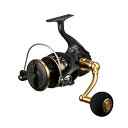 ダイワ(DAIWA) スピニングリール 23BG SW 8000-P 送料無料