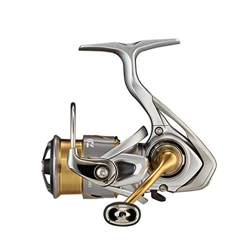 ダイワ(DAIWA) 21 フリームス FC LT1000S 送料無料