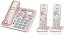 パナソニック コードレス電話機(子機2台付き) VE-GD56DW-N 送料無料