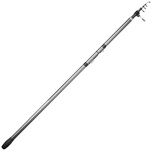 ޥ(SHIMANO) å ꤲ 17 ۥǡԥ () 405CXT ڲꤲ Ĺ4.05m 438g ...