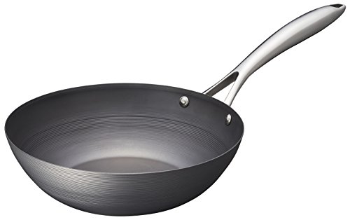 ӥե ֤  ե饤ѥ 24cm IHб  ѡ Ŵ Ӥˤ 2005 ֥å ̵