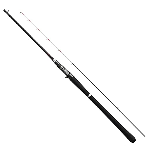 ޥ(SHIMANO) 19 ƥɥХ  B69ML-S ̵