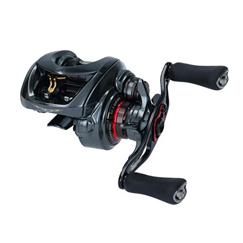DAIWA - ダイワ(DAIWA) ベイトリール 19 スティーズ CT SV TW 700SHL(2019モデル) 送料無料