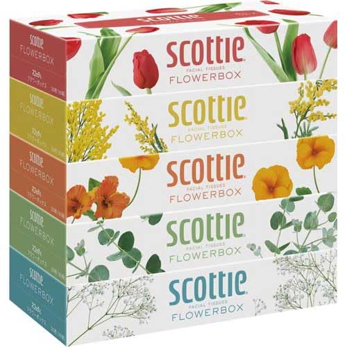 スコッティティシュー フラワーボックス 320枚（160組） ホワイト 5箱パック×12セット 送料 ...