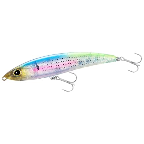 ޥ(SHIMANO) Х륢  Υڥ󥷥 185F 饤ɥ塼 XL-T18X 006 Tꥢ ...