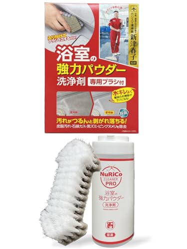 アイオン 浴室用洗剤 パウダー 専用ブラシ付き アルカリ性 除菌 カリスマ清掃員 新津春子監修 皮脂