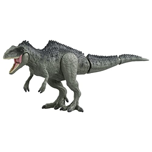 ȥߡ(TAKARA TOMY) ˥ 饷å Υȥ륹 ưʪ ε  3аʾ ̵