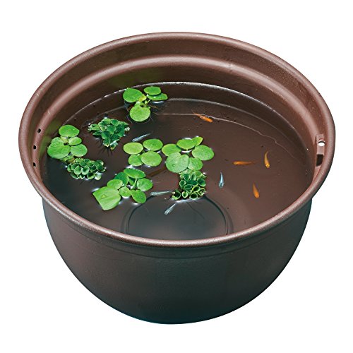 å GEX  Τλȭ 320 󳰷32H20cm   2Ĥοȴ :8L ̵...