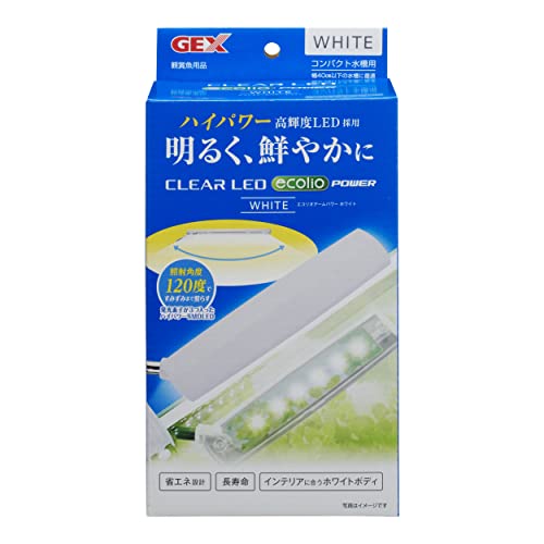 å GEX ꥢLED ꥪ ѥ ۥ磻 LED ϥѥLED 򿧸 ̵
