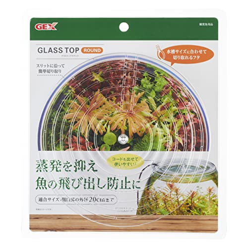 å GEX AQUARIUM 饹ȥåץ饦 饹 ȭ ߷ ץե ̵