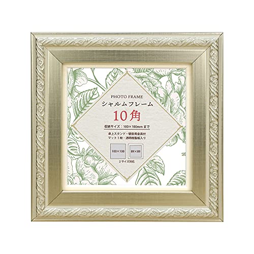  VANJOH ե졼 10 С 106701  ̵