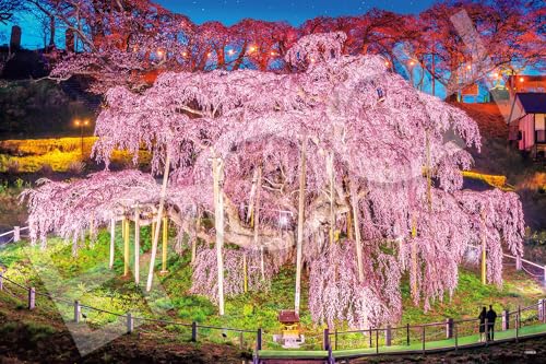 エポック社 1000ピース ジグソーパズル 日本風景 三春の滝桜-福島 (50×75cm) 09-058s のり付き ヘラ付き 点数券付 送料無料