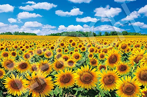 エポック社 1000ピース ジグソーパズル 日本風景 陽光に輝くひまわりの里ー北海道 (50×75cm) 09-029s のり付き ヘラ 送料無料