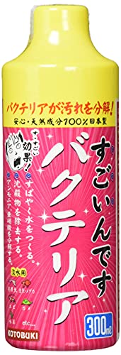   Ǥ Хƥꥢ 300ml ̵