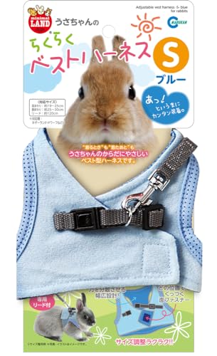 ߥ˥ޥ Τ餯餯٥ȥϡͥ ֥롼 S  ̵