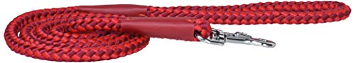 ڥƥ (Petio) NEWޡ꡼ å  10mm ̵