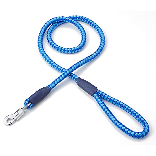 ڥƥ (Petio) NEWޡ꡼ ֥롼  10mm ̵