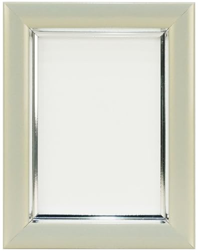 VANJOH Vカラー肖像額 Lハーフ PGY（パールグレー） 107311 フォトフレーム 【スタンド付】 【置き専用】 送料無料